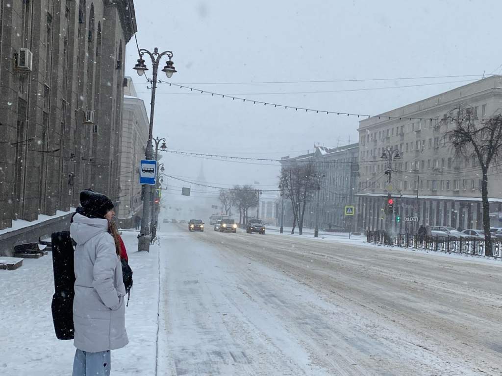 Зима в Курской области может быть аномально теплой из-за Эль-Ниньо