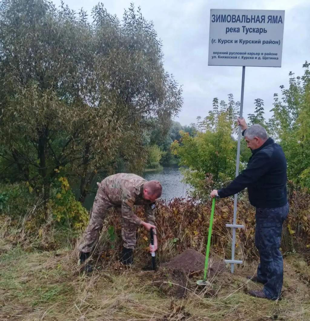 На реке Тускарь в Курской области обозначили зимовальные ямы