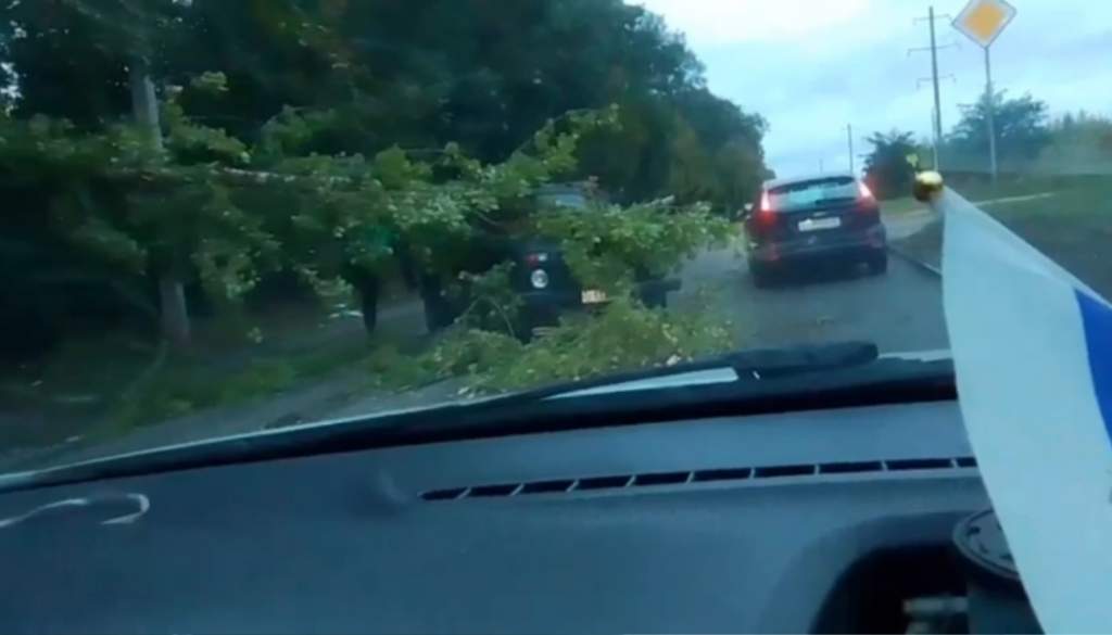 В Курске ветер повалил торговые ряды, дерево и вырвал дверь