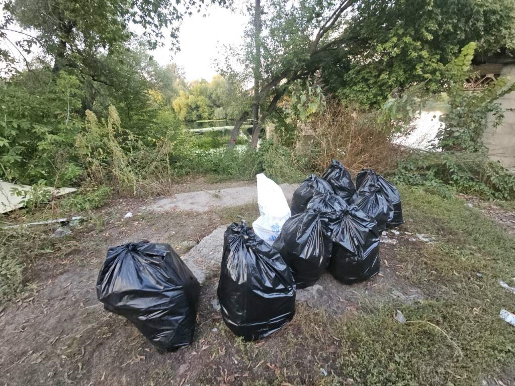 Курские волонтеры свернули экопроект на берегу Сейма