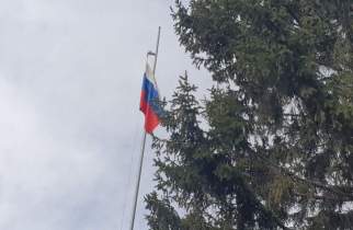 В Курской области саперы уничтожили более 1 тысячи боеприпасов ВСУ