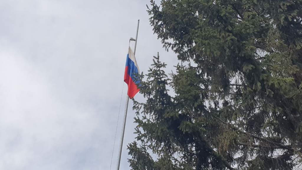 В Курской области саперы уничтожили более 1 тысячи боеприпасов ВСУ