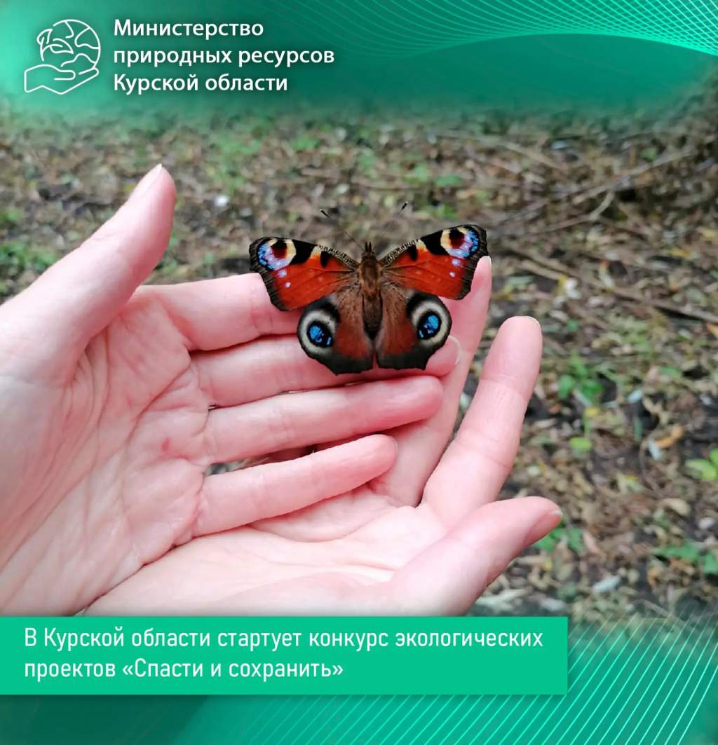 Куряне могут представить свои экопроекты на конкурсе «Спасти и сохранить»