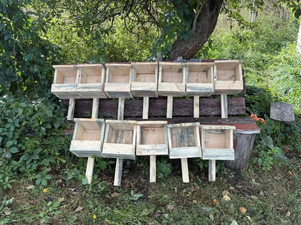 В Курской области установили 12 гнездовий для мелких соколообразных птиц