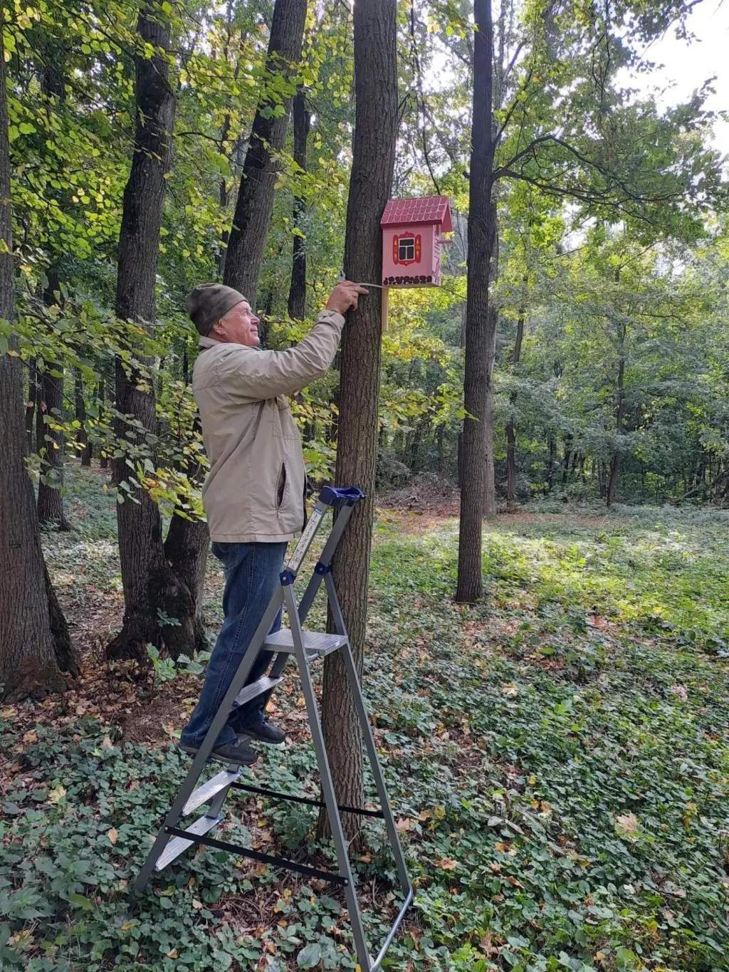В парках Курска начали развешивать птичьи домики и кормушки