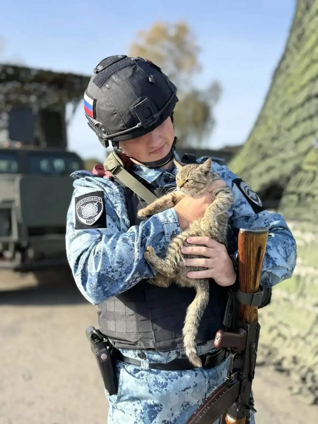 Полосатый напарник: в Курском районе при полицейском посту живёт кот Тигр