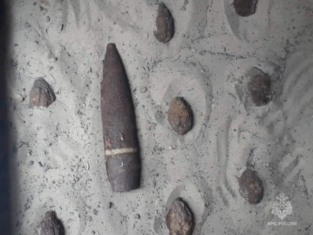 В Курской области нашли 9 гранат и боевой снаряд