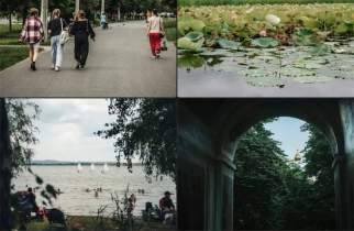 Хинштейн подвел итоги фотоквеста на знание Курской области