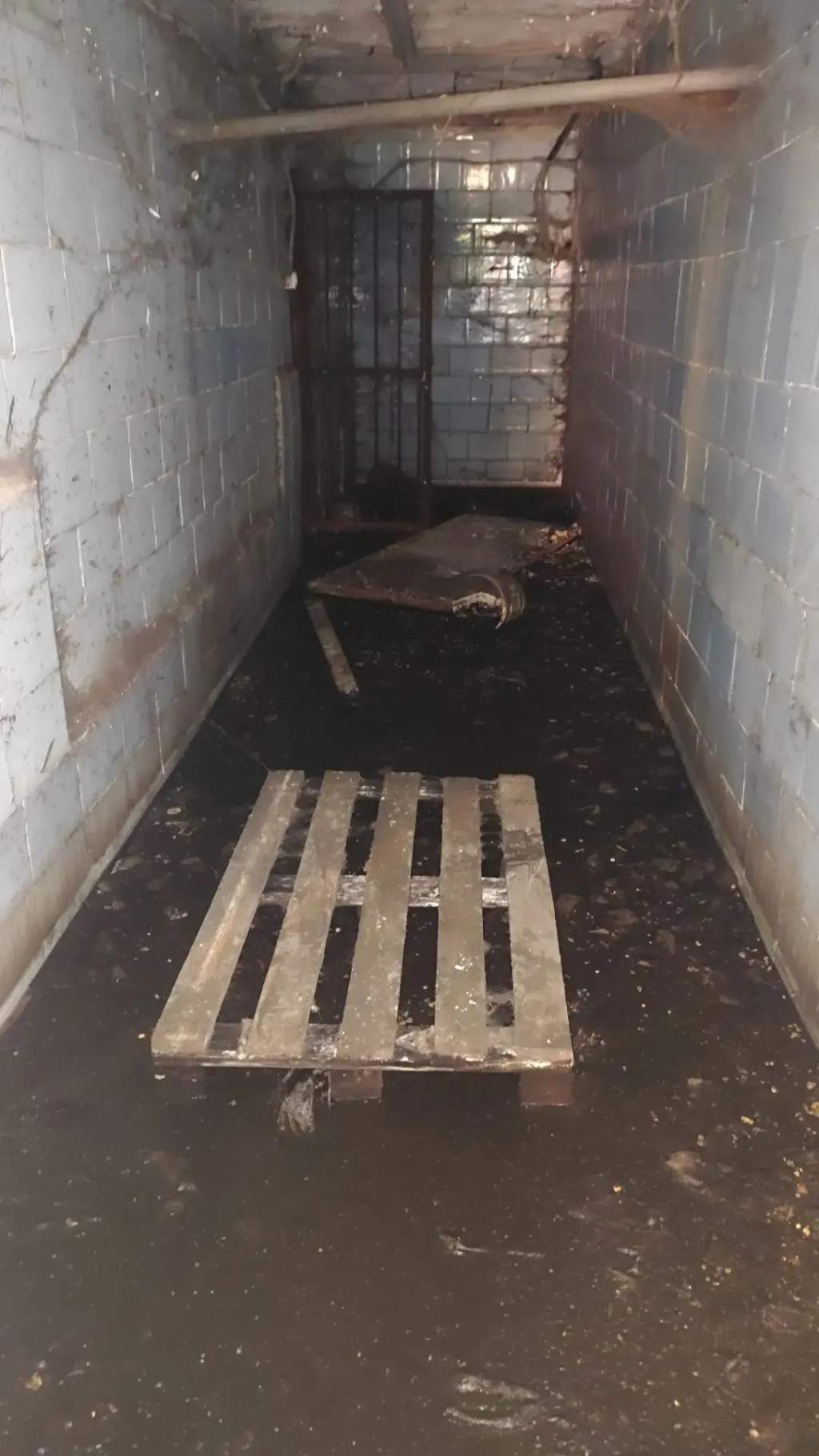 В Курске Дворцова лично разбиралась с подтоплением подвала на улице Гагарина