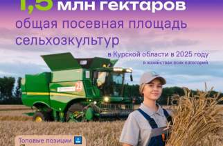 Курская область заняла 2 место в России по производству сои