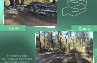 В Курском лесничестве собрали около 5 кубометров мусора
