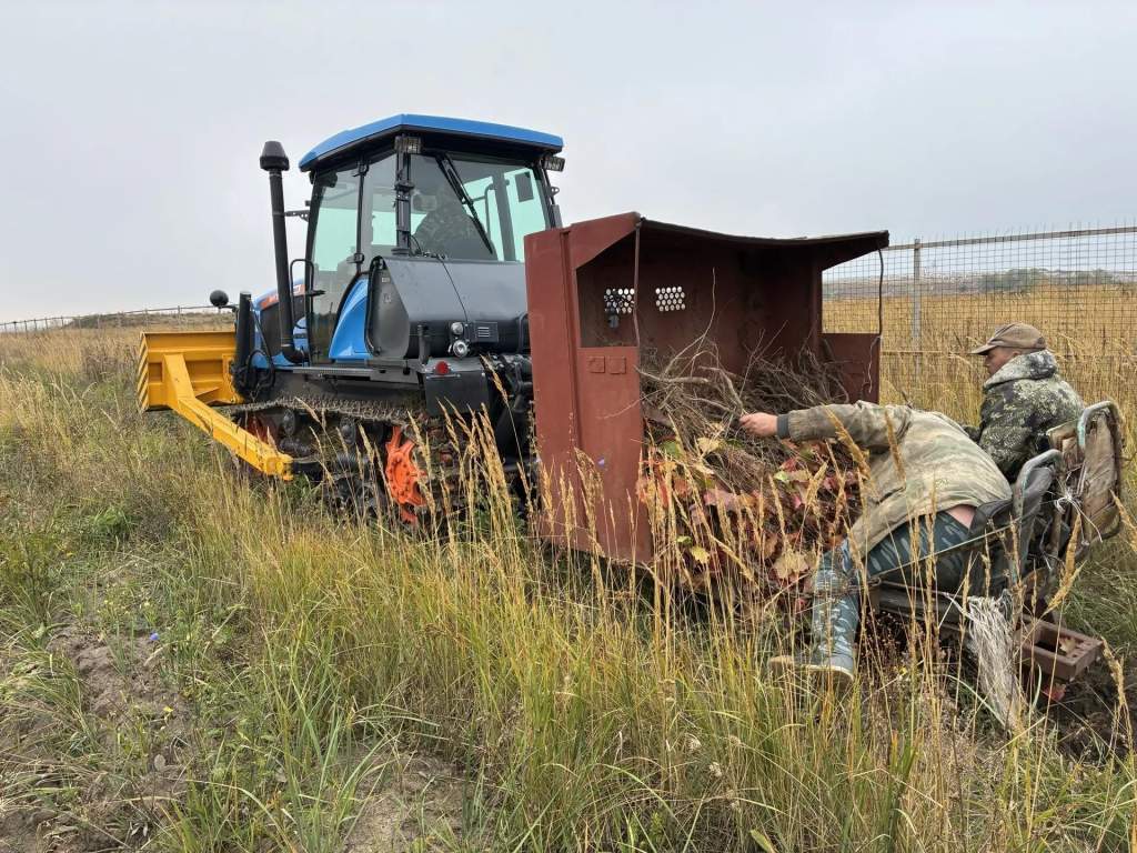 Под Курском проверили приживаемость 4 тысяч дубов у мусорного полигона