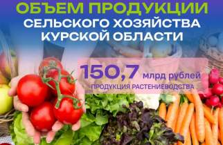 В Курской области произвели сельхозпродукции на 245,9 млрд рублей