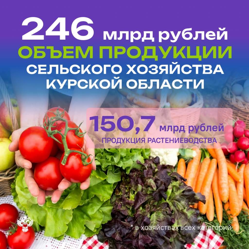 В Курской области произвели сельхозпродукции на 245,9 млрд рублей