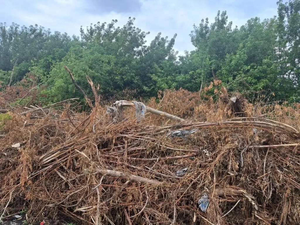 В Курской области прокуратура требует убрать незаконную свалку мусора