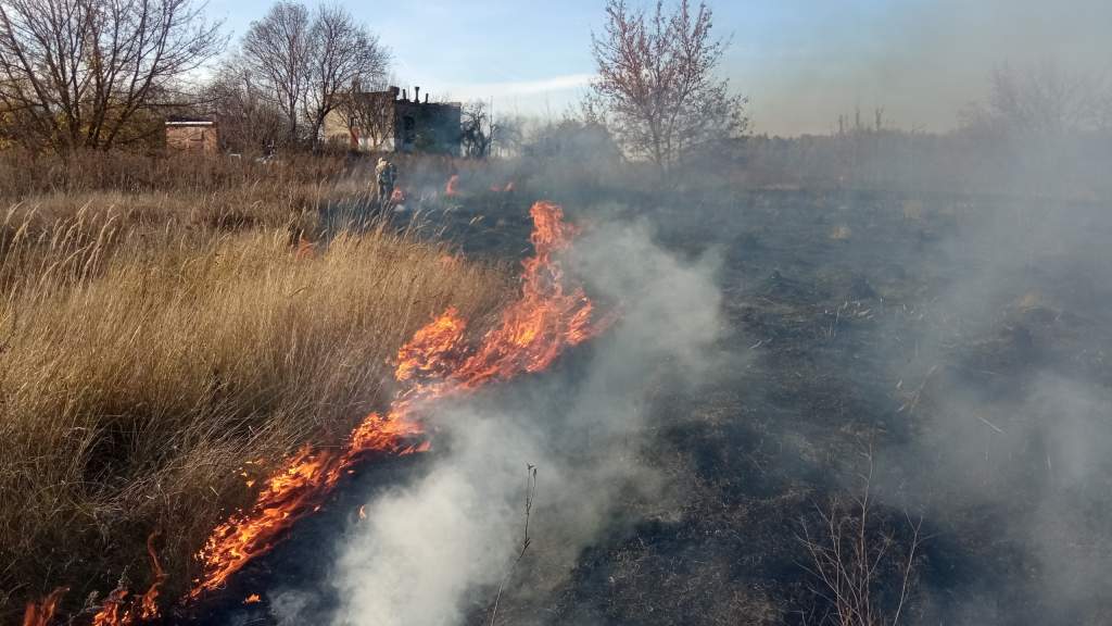 В Курской области возле поселка Солнечный загорелась трава на большой площади