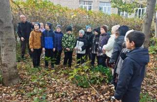 В Курской области школьники собрали около 100 кг желудей для будущих лесов